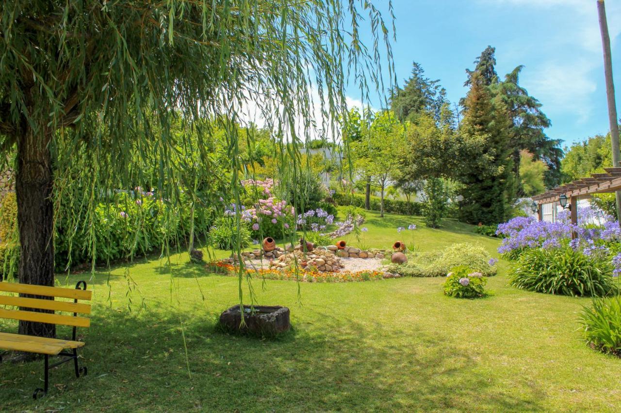 Quinta De Vale Escuro Hotel Lousa  Ngoại thất bức ảnh