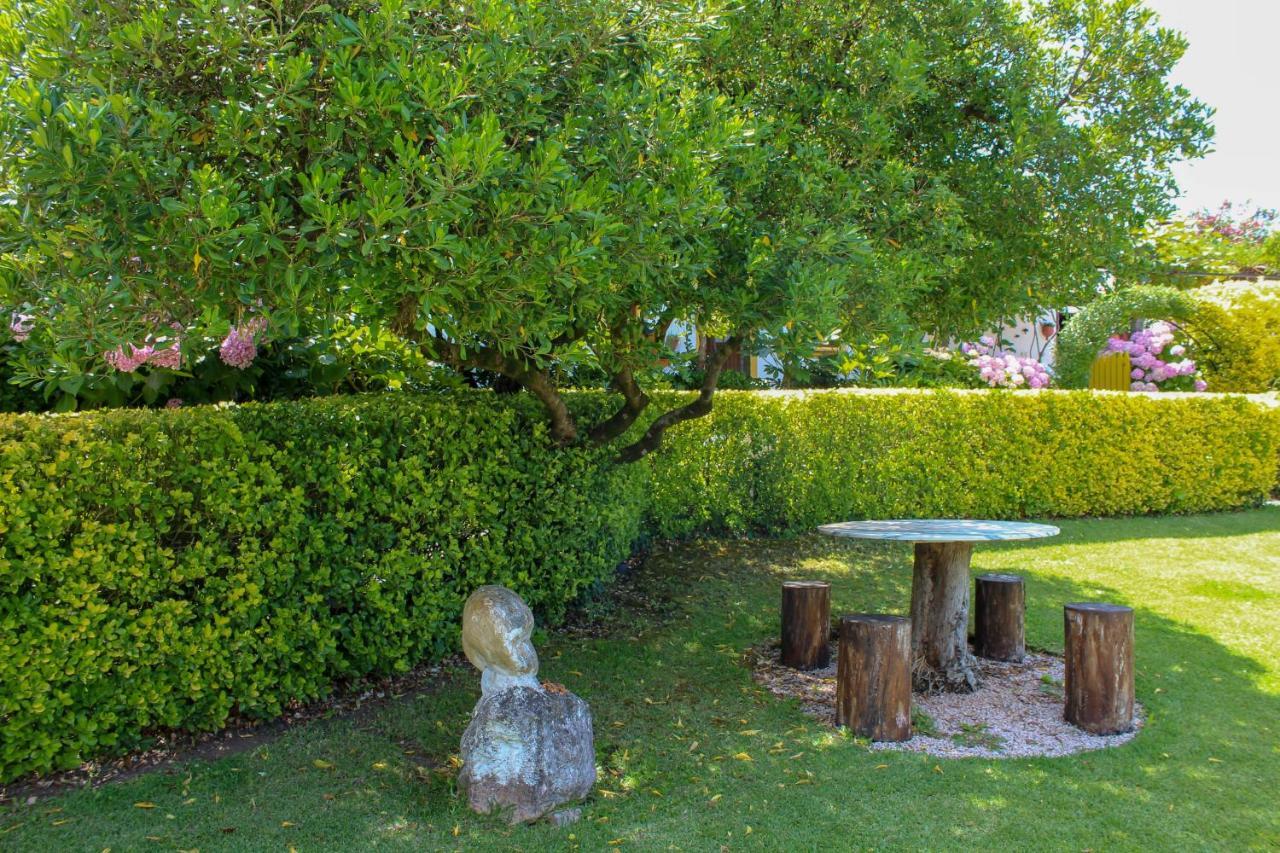 Quinta De Vale Escuro Hotel Lousa  Ngoại thất bức ảnh
